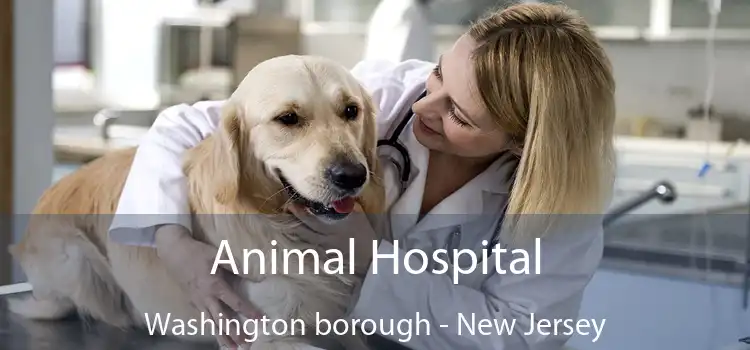 Animal Hospital Washington borough - New Jersey