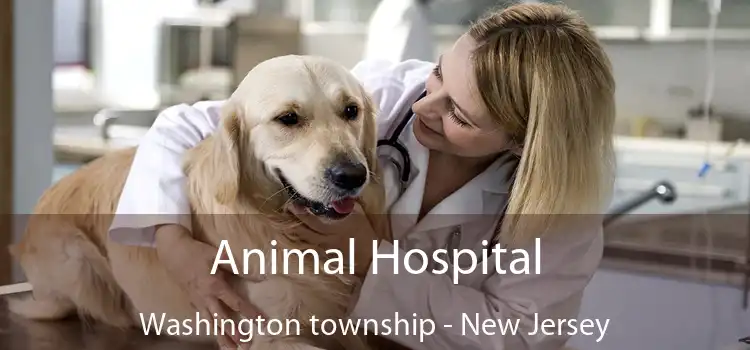 Animal Hospital Washington township - New Jersey