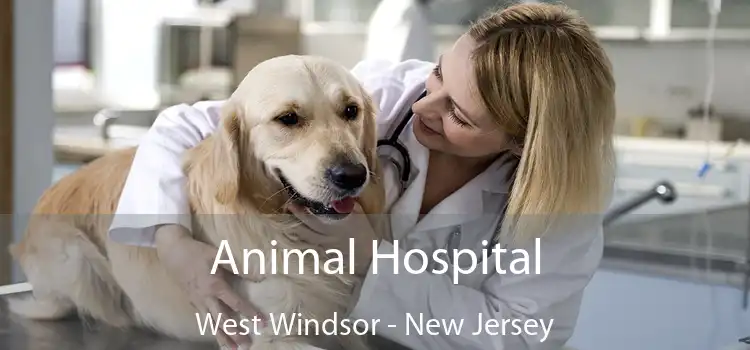 Animal Hospital West Windsor - New Jersey