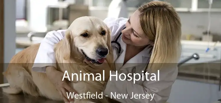 Animal Hospital Westfield - New Jersey