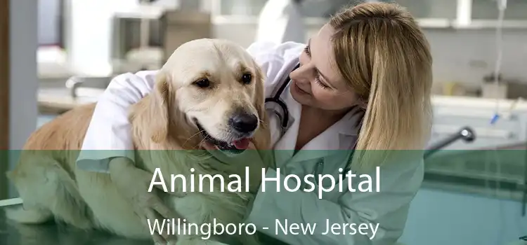 Animal Hospital Willingboro - New Jersey