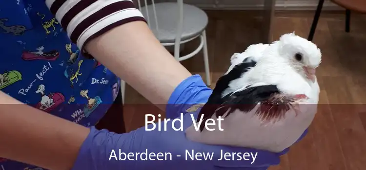 Bird Vet Aberdeen - New Jersey