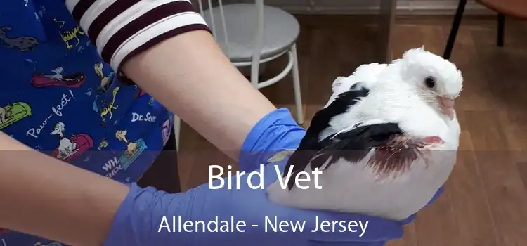 Bird Vet Allendale - New Jersey