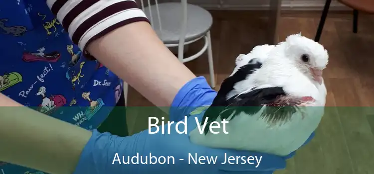 Bird Vet Audubon - New Jersey