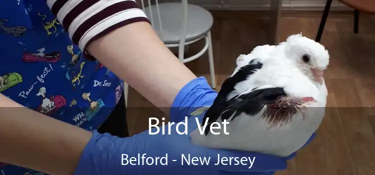 Bird Vet Belford - New Jersey