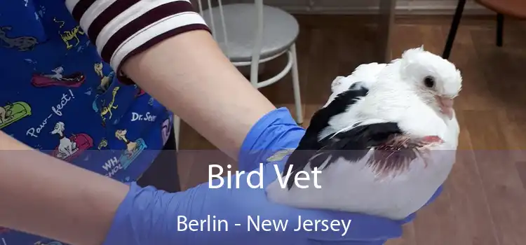 Bird Vet Berlin - New Jersey