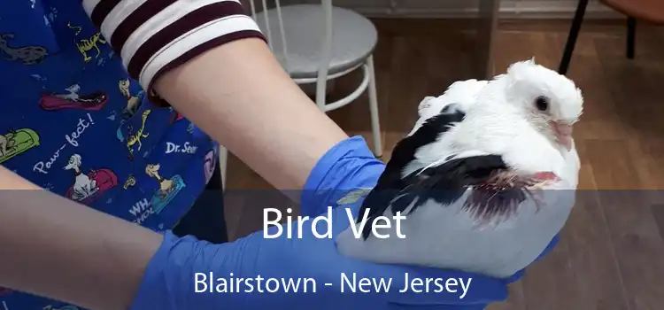 Bird Vet Blairstown - New Jersey