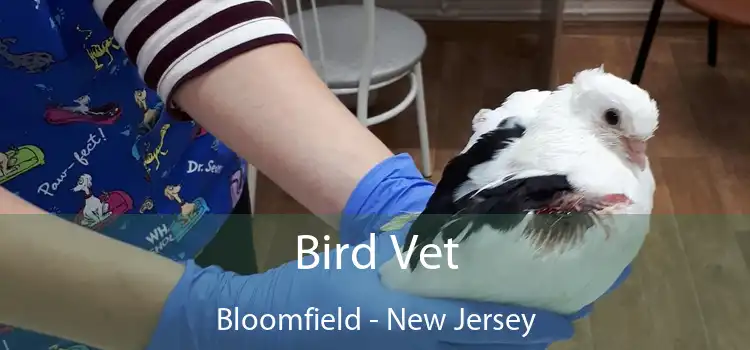 Bird Vet Bloomfield - New Jersey