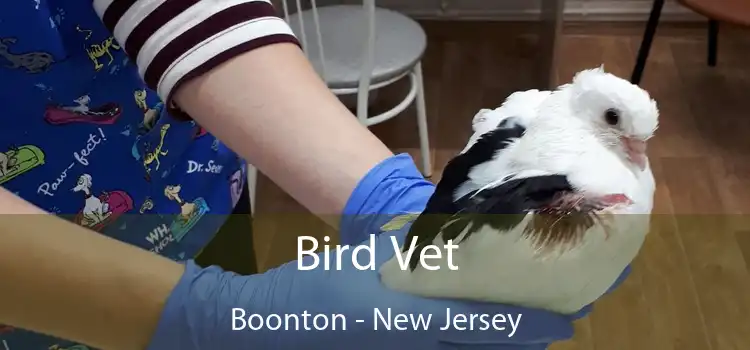 Bird Vet Boonton - New Jersey