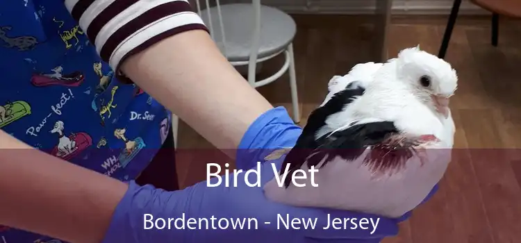 Bird Vet Bordentown - New Jersey