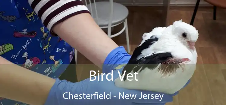 Bird Vet Chesterfield - New Jersey