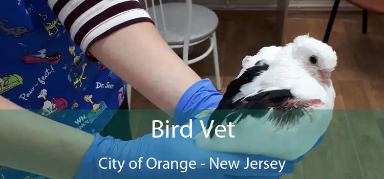 Bird Vet City of Orange - New Jersey