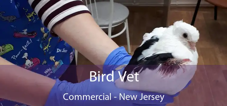 Bird Vet Commercial - New Jersey