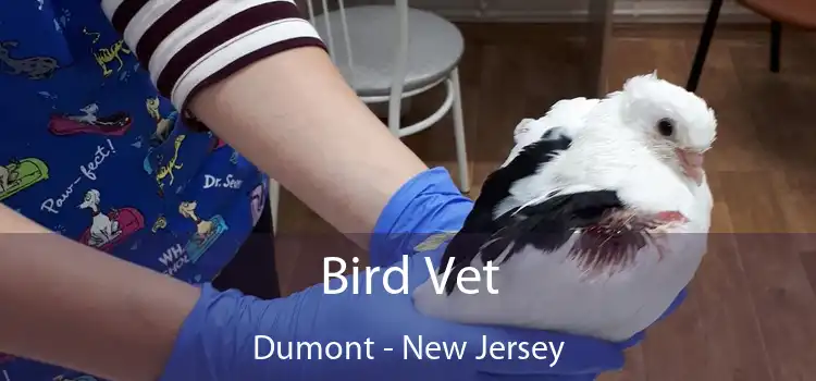 Bird Vet Dumont - New Jersey