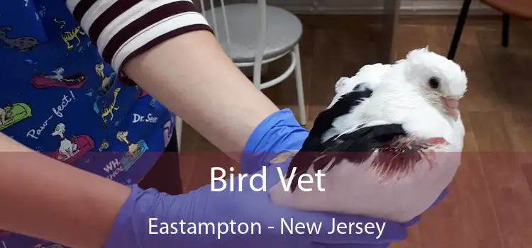 Bird Vet Eastampton - New Jersey