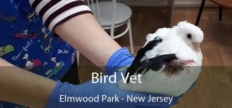 Bird Vet Elmwood Park - New Jersey