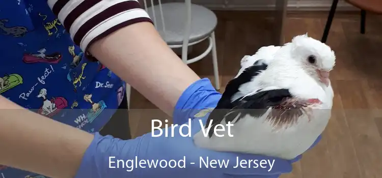 Bird Vet Englewood - New Jersey