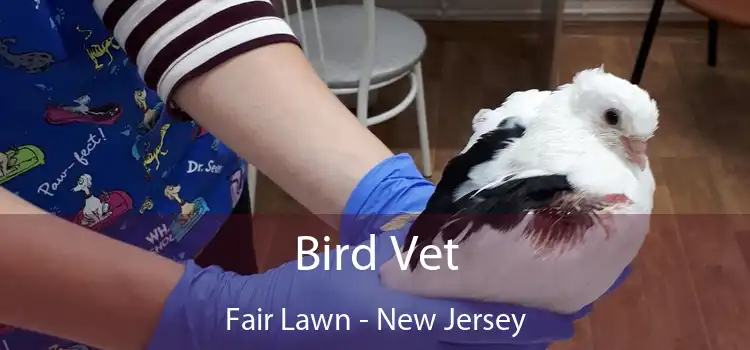 Bird Vet Fair Lawn - New Jersey