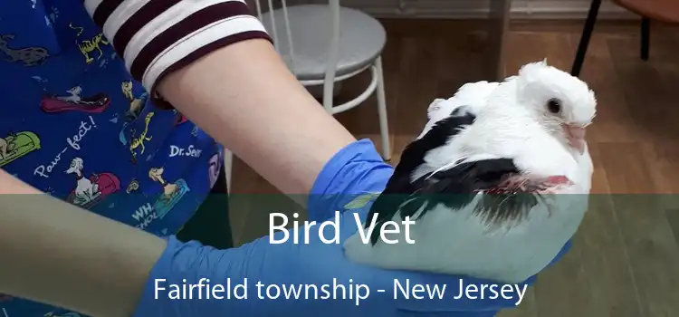 Bird Vet Fairfield township - New Jersey