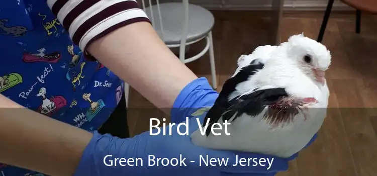 Bird Vet Green Brook - New Jersey