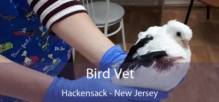 Bird Vet Hackensack - New Jersey