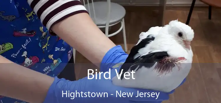 Bird Vet Hightstown - New Jersey