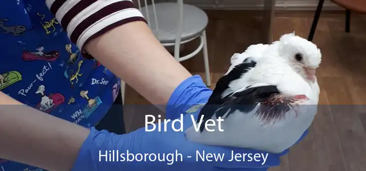 Bird Vet Hillsborough - New Jersey