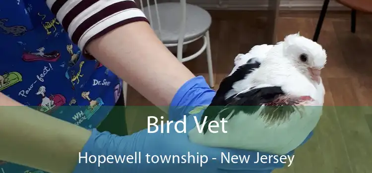 Bird Vet Hopewell township - New Jersey