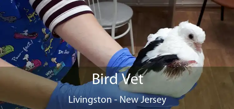 Bird Vet Livingston - New Jersey