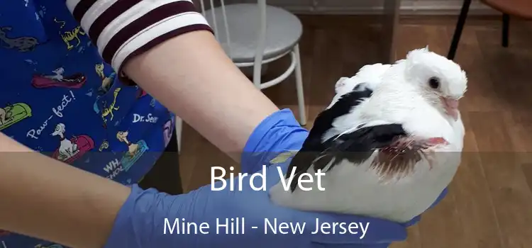 Bird Vet Mine Hill - New Jersey