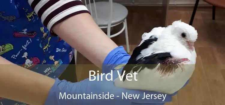 Bird Vet Mountainside - New Jersey