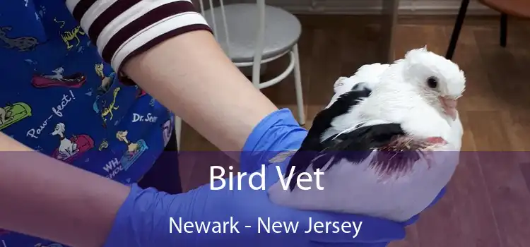 Bird Vet Newark - New Jersey