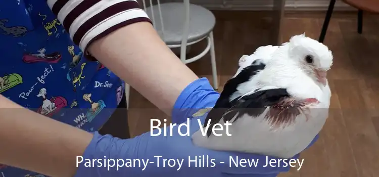 Bird Vet Parsippany-Troy Hills - New Jersey