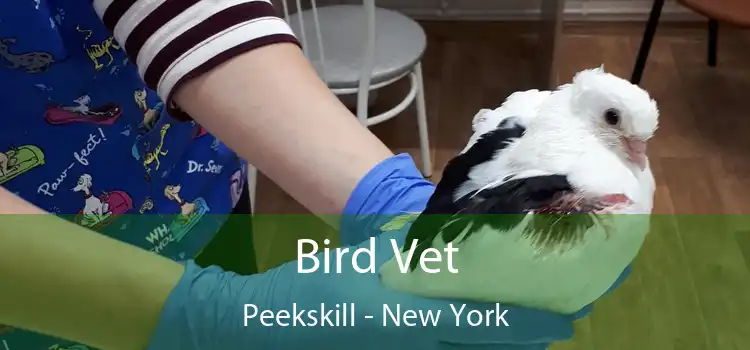 Bird Vet Peekskill - New York