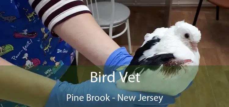 Bird Vet Pine Brook - New Jersey