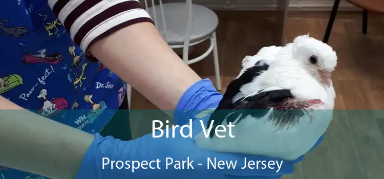 Bird Vet Prospect Park - New Jersey