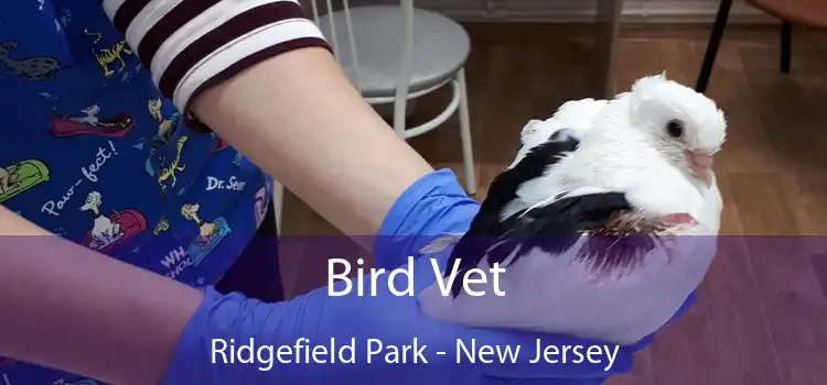 Bird Vet Ridgefield Park - New Jersey