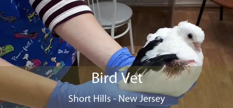 Bird Vet Short Hills - New Jersey