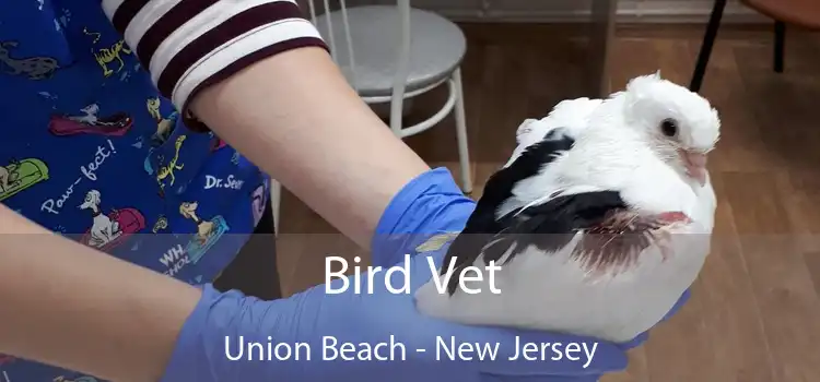 Bird Vet Union Beach - New Jersey