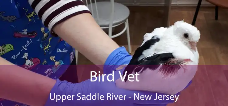 Bird Vet Upper Saddle River - New Jersey