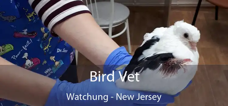 Bird Vet Watchung - New Jersey