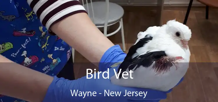 Bird Vet Wayne - New Jersey