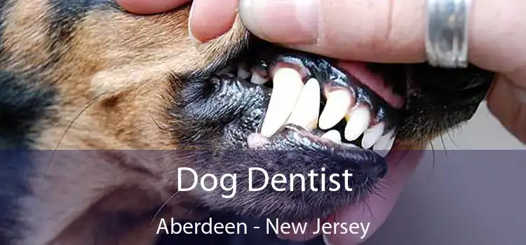 Dog Dentist Aberdeen - New Jersey