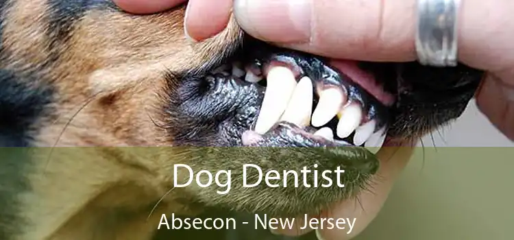 Dog Dentist Absecon - New Jersey