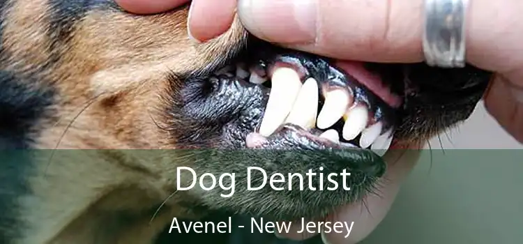 Dog Dentist Avenel - New Jersey