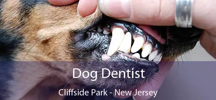 Dog Dentist Cliffside Park - New Jersey