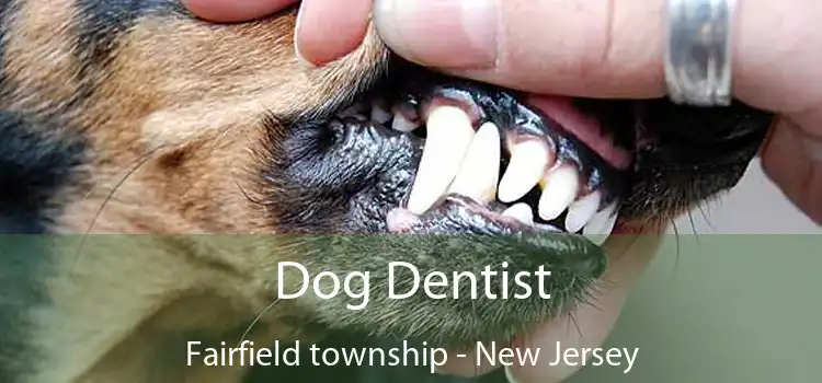 Dog Dentist Fairfield township - New Jersey