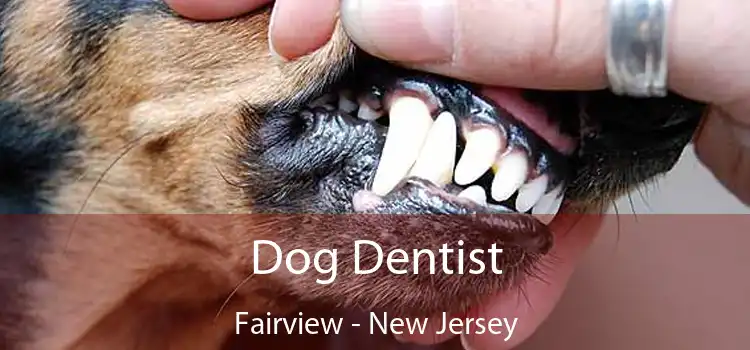 Dog Dentist Fairview - New Jersey