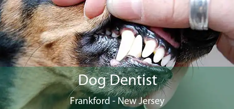 Dog Dentist Frankford - New Jersey