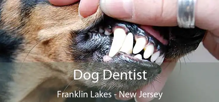 Dog Dentist Franklin Lakes - New Jersey